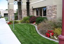 Enhance Your Business’s Curb Appeal with Professional Commercial Landscaping Services Commercial Landscaping